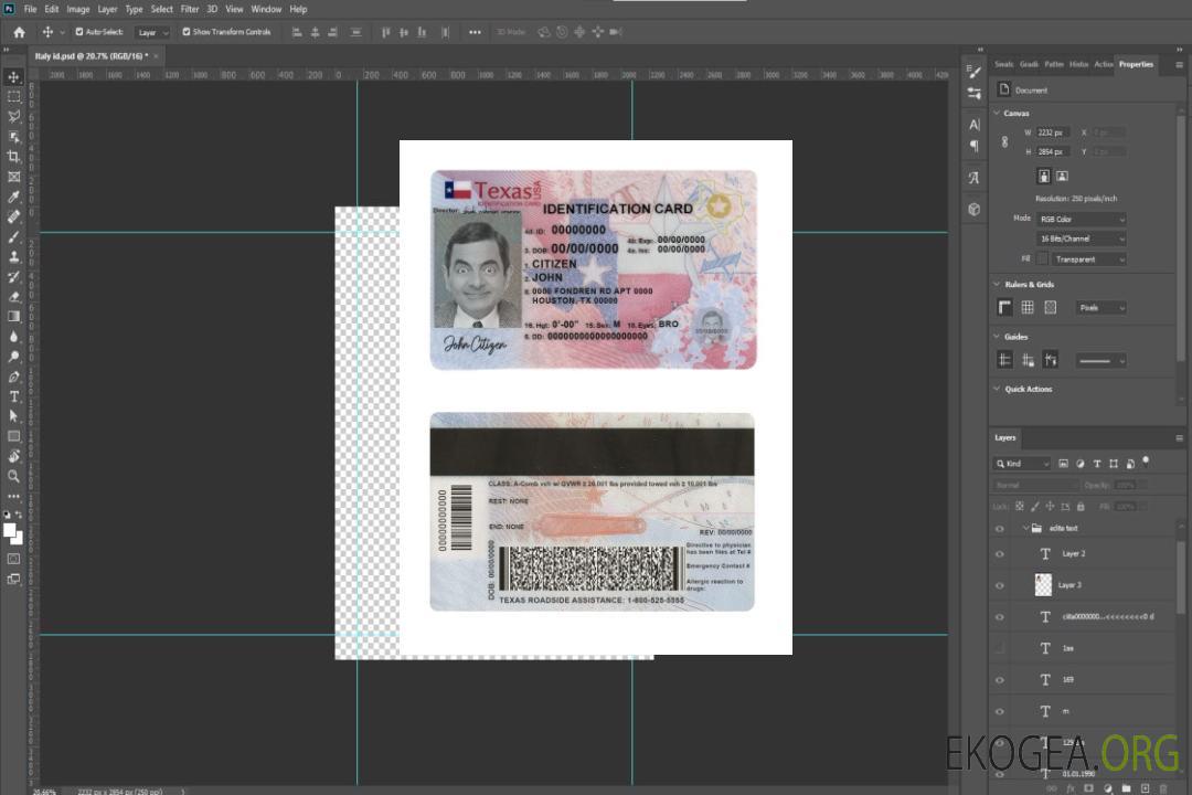 Modèle de carte d'identité de l'État du Texas aux États-Unis au format PSD, entièrement modifiable (2020 – présent) (1) template